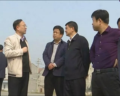 李先乔督办我市中央环保督察反馈意见整改工作情况 