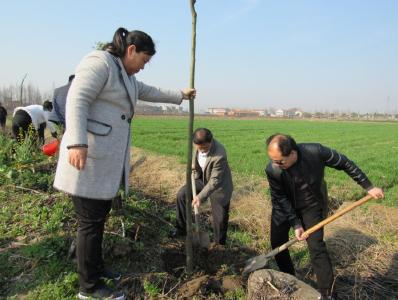 中洲农场开展义务植树活动 