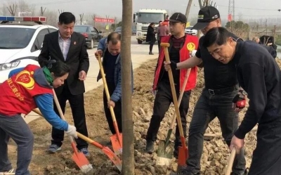 汉川法院干部积极参加植树活动 