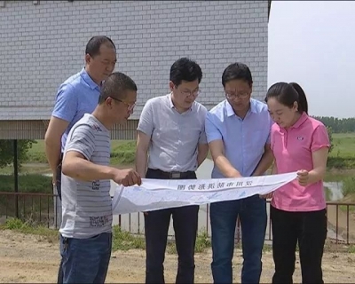 市领导到垌塚镇调研督办河湖长制、精准扶贫等工作 
