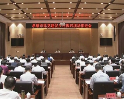 孝感市抓党建促乡村振兴现场推进会在我市召开 