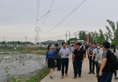 台湾云林莲藕产业参访团来汉川开展参访交流活动 