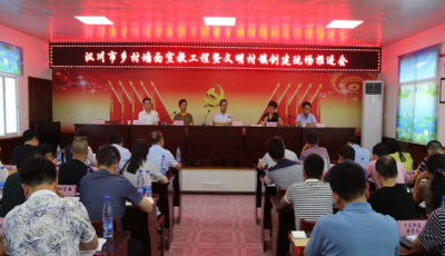 我市召开乡村墙面宣教工程暨文明村镇创建现场推进会