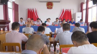市领导出席垌塚镇精准扶贫能力提升培训暨第一次调度会 