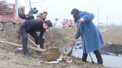 汉川非公经济人士连续5年为家乡植绿