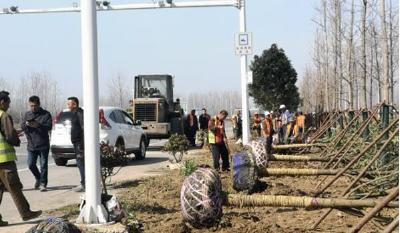 汉川市公路局加快推进G348国道文明示范路创建步伐