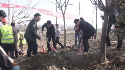 书记市长齐上阵 义务植树添新绿
