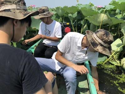 大学生赴汉川参加暑期社会实践 聚焦乡村振兴