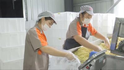 探访汉川热干面生产基地