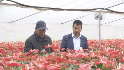“造血式”产业扶贫为乡村引“活水”