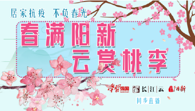 直播｜居家抗疫 不负春光！春满阳新·云赏桃李