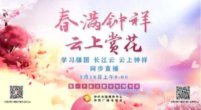 直播｜居家抗疫 不负春光！春满钟祥•云上赏花