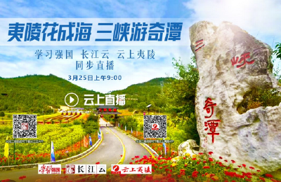 直播｜居家抗疫 不负春光！夷陵花成海·三峡游奇潭