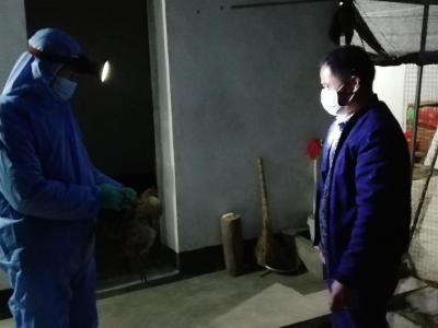 汉川积极部署春季集中免疫筑牢防控基础