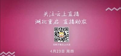 直播|湖北重启 直播助农 茗山辣木线上直销