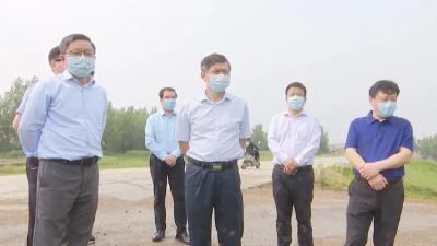 李先乔调研城市防洪排涝工作