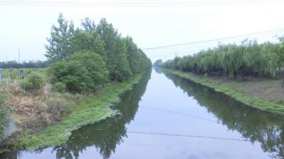 真抓实干  汈东街道办事处“净河行动”见成效