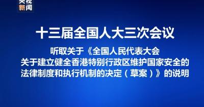 王晨作关于《全国人民代表大会关于建立健全香港特别行政区维护国家安全的法律制度和执行机制的决定（草案）》的说明