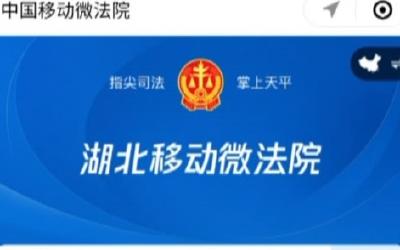 手机里的微法院  指尖诉讼方便快捷