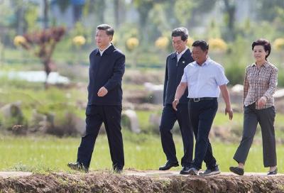 鉴往知来，跟着总书记学历史 | 贺兰山：昔日百战之地打响生态保卫战
