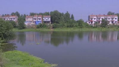 汈东街道办：以河湖长制为抓手 守护绿水青山