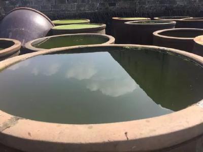 美文 | 我的汉川：古镇醋坊