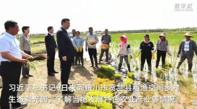 新华社独家视频｜总书记考察的生态观光园