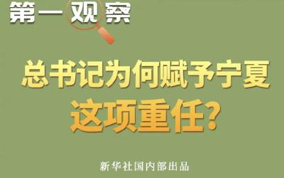 第一观察丨总书记为何赋予宁夏这项重任？