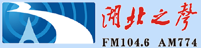 汉川昨降大暴雨 各处渍水已抢排    [湖北之声-新闻晚高峰 2020年6月10日]