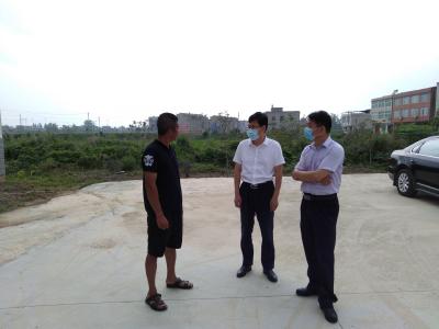 为这个镇软弱涣散村党组织工作“支招”