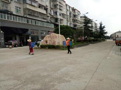 渍涝必有疫患？这个乡镇这样防