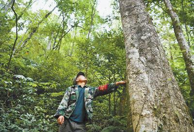山林里就业 家门口脱贫