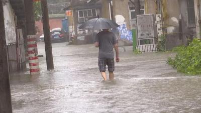 暴雨突袭 园卫部门全力抢排渍水