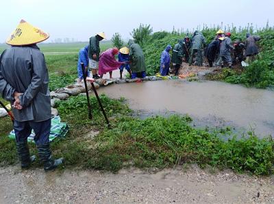 风雨中的坚守