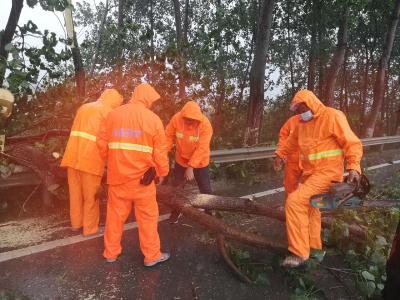 风急雨猛  紧急清理公路断倒树木