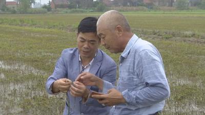 6天走遍21个村 那里的农作物有救了