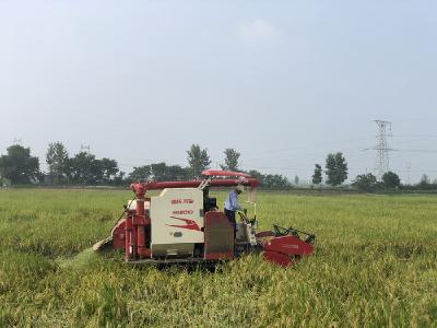 刘家隔镇抓“双抢”忙自救
