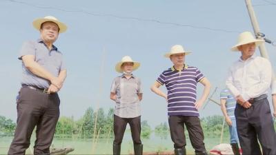 汉川市领导检查督导汉北河上片防汛救灾工作