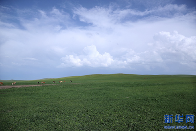 【幸福花开新边疆】北疆亮丽风景线的绿色生态新图景