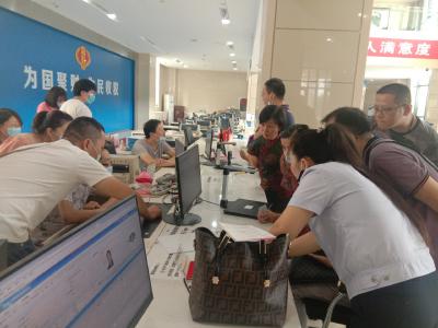 实名办税规范试点开始啦