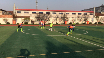 马口镇第三届小学生校园足球赛开赛
