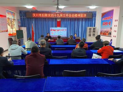 全会精神宣讲进社区 巾帼助力基层社会治理