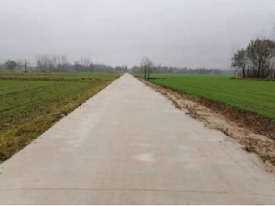 沉湖镇这个村新修了一条幸福大道