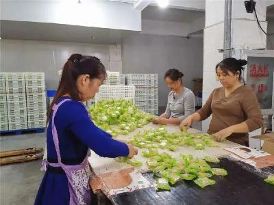产业扶贫奔小康 汉川交出答卷