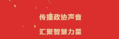  叶卫国：履职尽责  当好百姓“代言人”