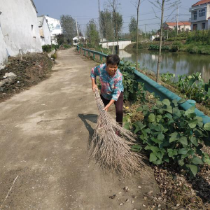 香香婆婆撑起家，勤劳拼搏奔脱贫