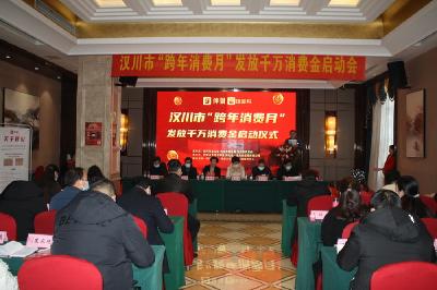 汉川市启动“跨年消费月”发放千万消费金活动