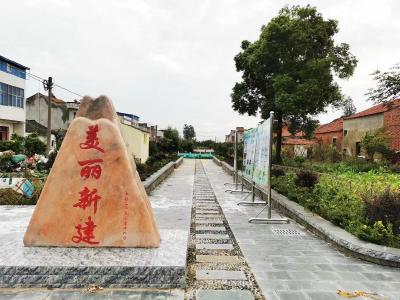 “党建+扶贫”，村里变了，群众笑了