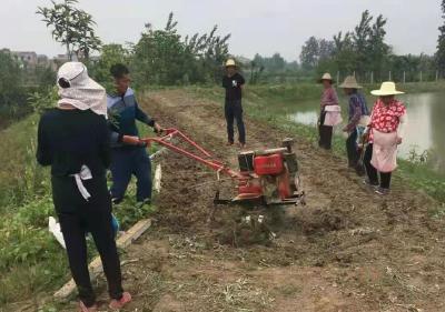 【南河乡】贫困户家门口务工也能实现脱贫增收