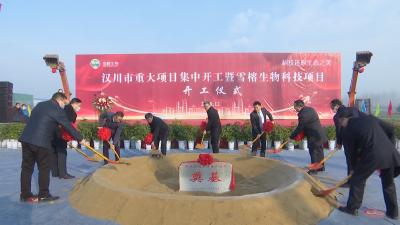 我市14个重大项目集中开工